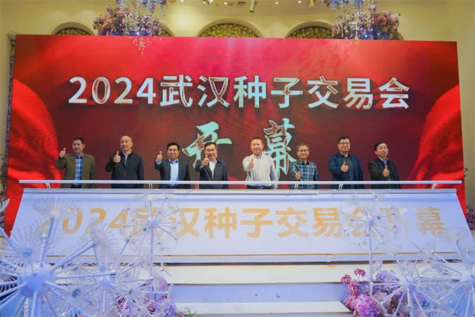 25種交會微信文章素材615